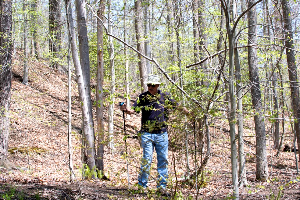 2018 Walk for the Woods Bacon Ridge Natural Area 574