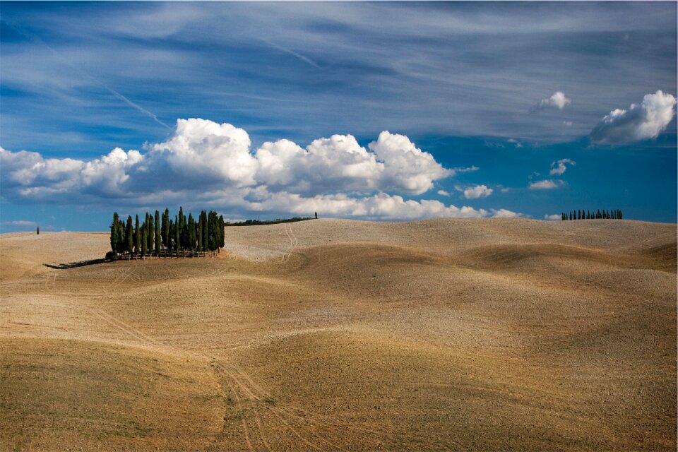 Farm trees country photo