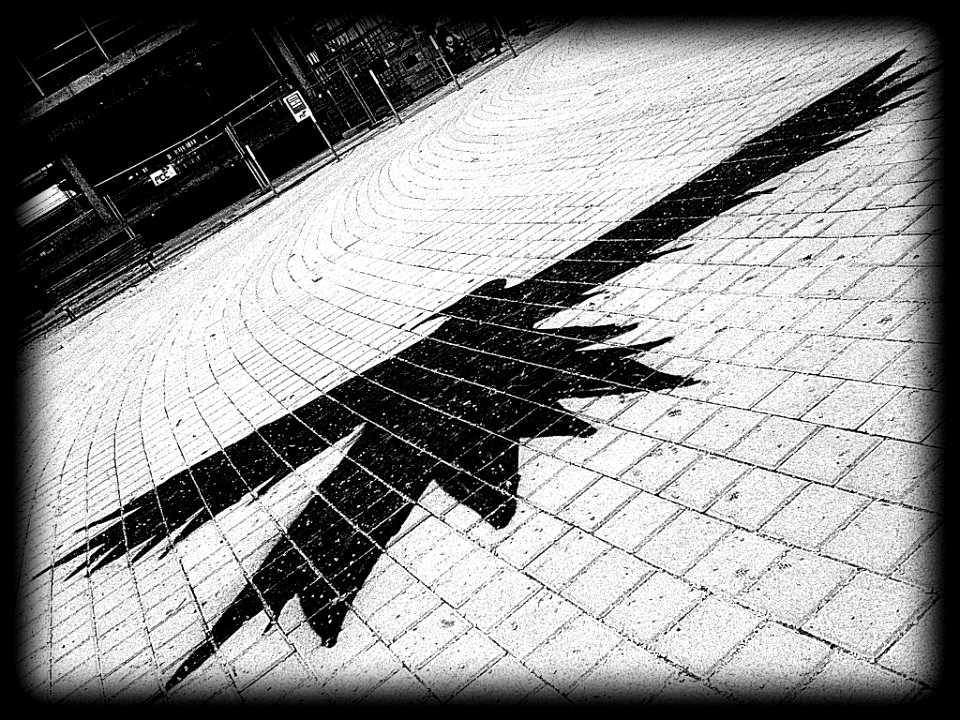 La sombra del águila