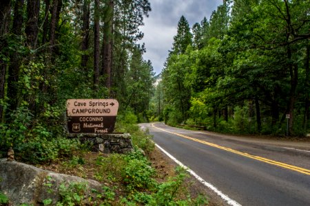 Cave Springs Campground