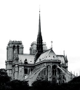 Notre-Dame photo