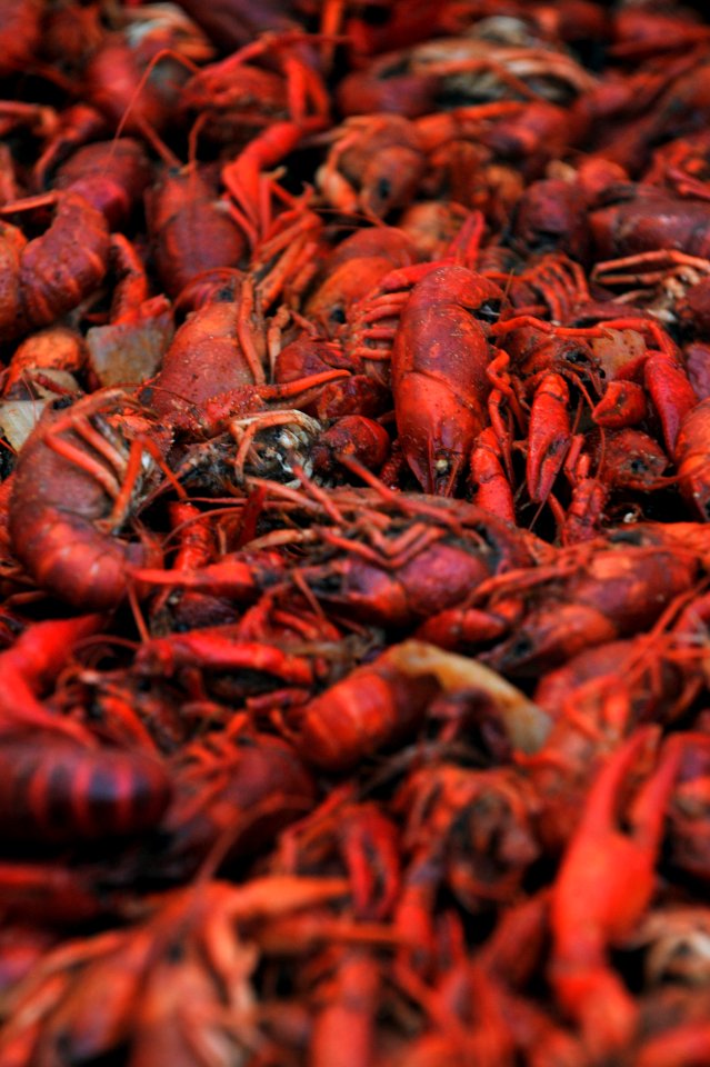 Louisiana crawfish boil