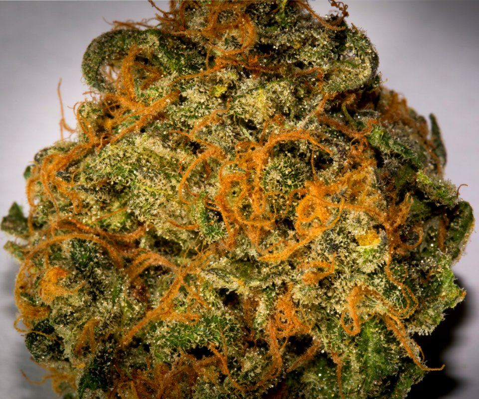 Medical Mariuana macro