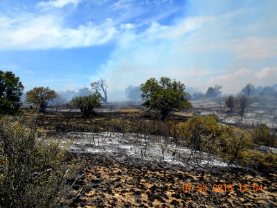 Point Fire, Sedona