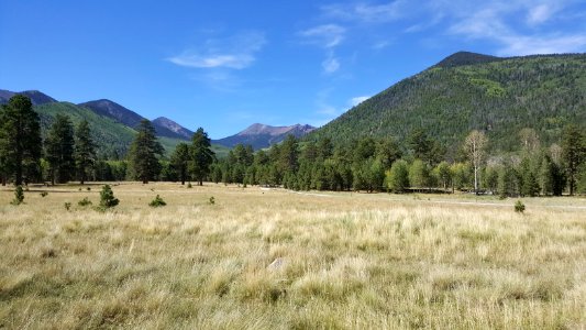 Lockett Meadow: September 19, 2017