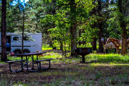 Little Elden Springs Horse Camp