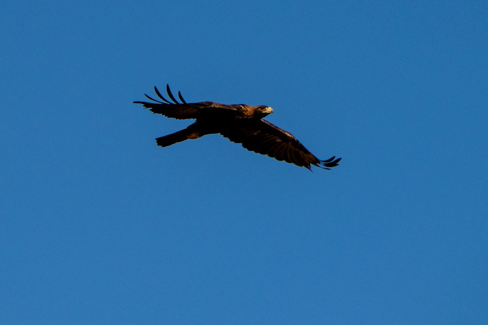 20190827-NRCS-LSC-0763