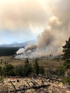 Horseshoe Project (April 21, 2017)