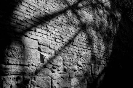 The Shadow on the Wall photo