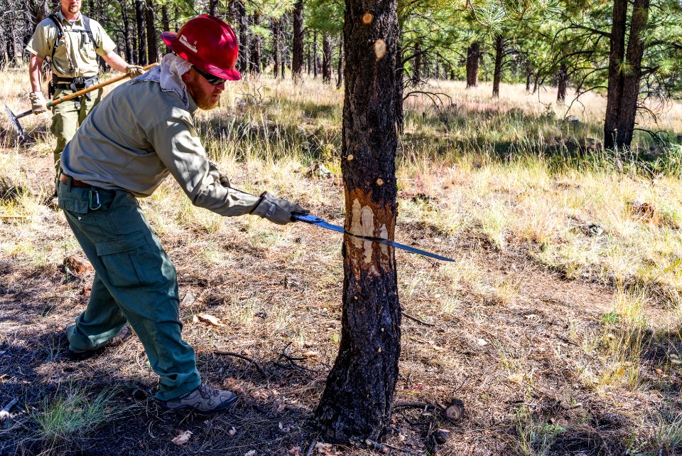 Deer Hill Trail: National Public Lands Day 2017
