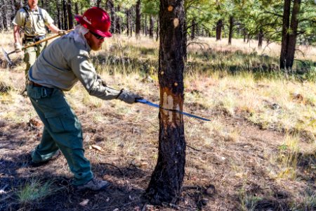 Deer Hill Trail: National Public Lands Day 2017