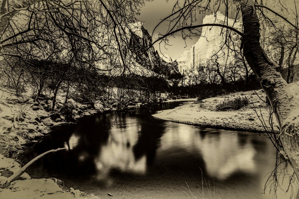 Black and White Zion