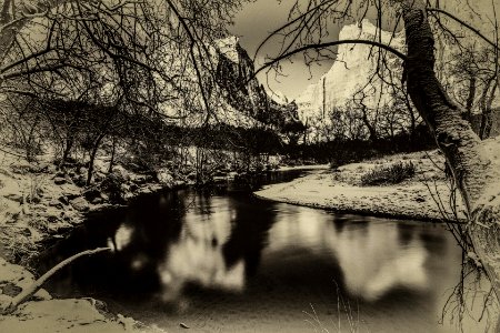 Black and White Zion