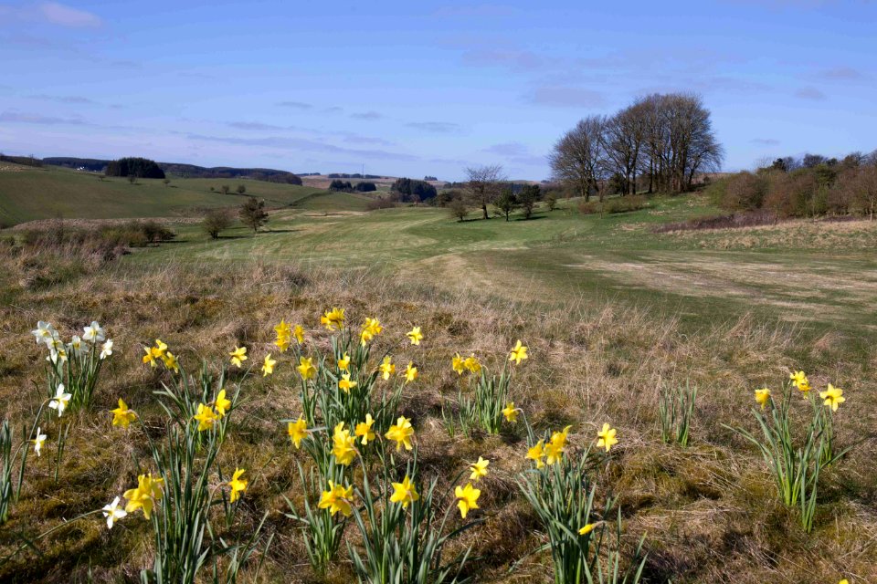 Eastwood Golf Club - IMG 2328