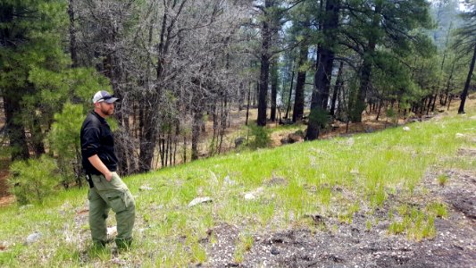 Cowboy Fire (May 18, 2016)