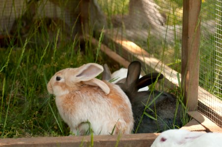 20110505-RD-LSC-0846