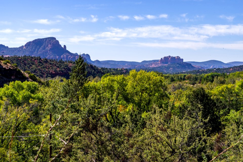 Fall color in Oak Creek Canyon (October 16, 2017)
