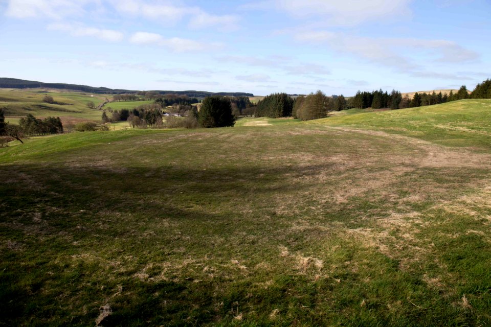 Eastwood Golf Club - IMG 2318