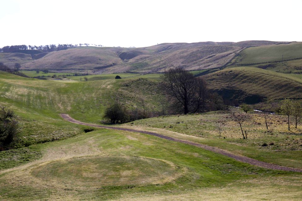 Eastwood Golf Club - IMG 2323