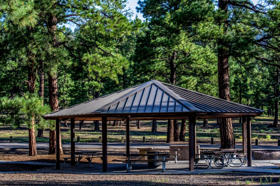O'Leary Group Camp