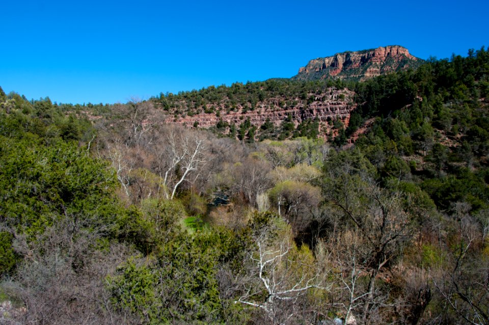 Fossil Springs Trail No. 18