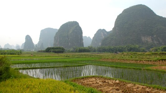 Landscape agriculture paddy