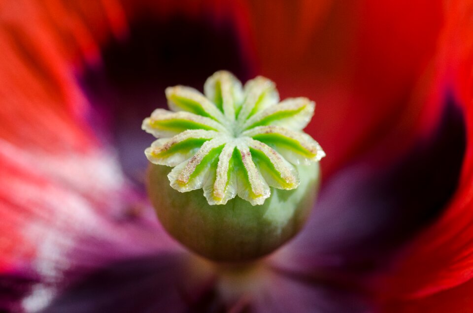Color summer spring