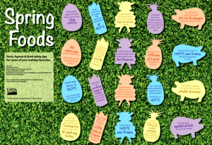 Spring Foods Infographic photo