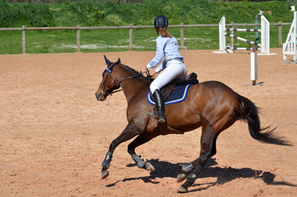 Horseback riding competition trotter