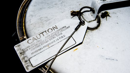 Caution Bees 1