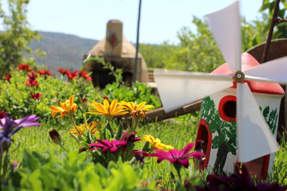 Nature village garden