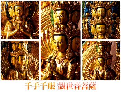觀世音菩薩239