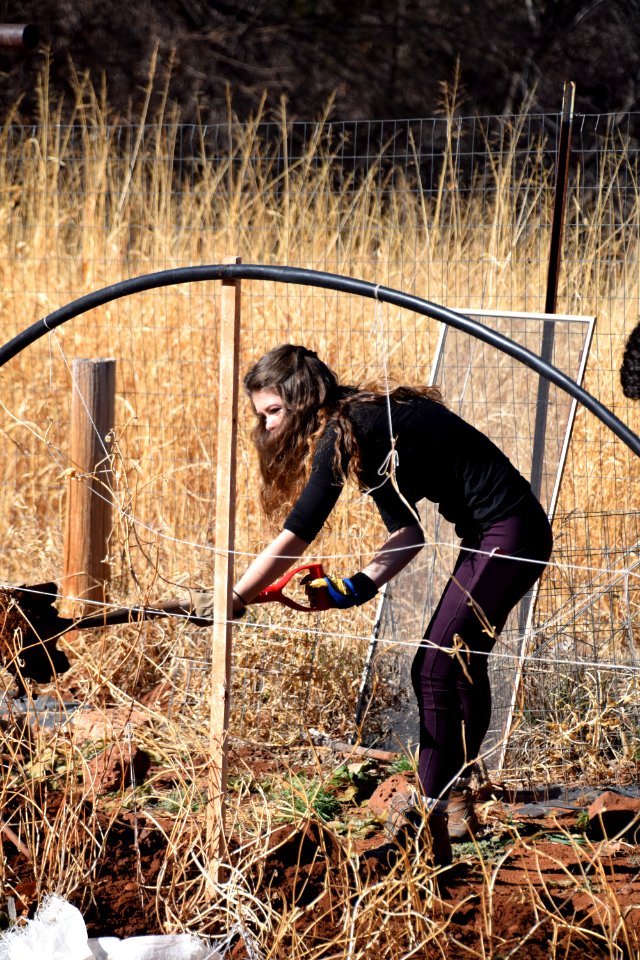 Youth Conservation Education Project at Crescent Moon Ranch