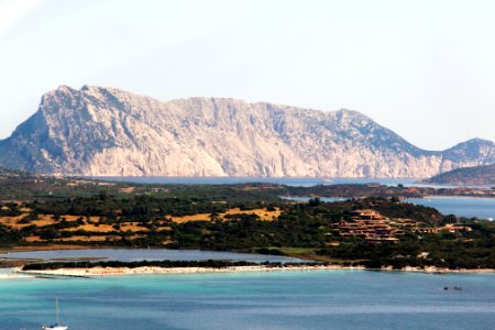 punta aldia1799