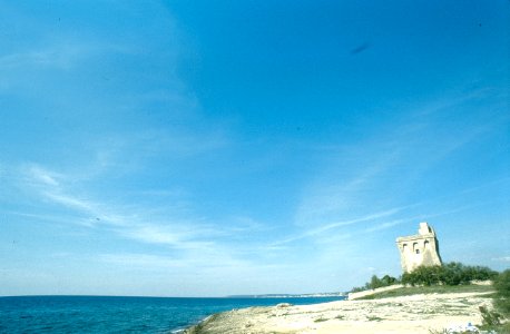 Pu Torre Orso3