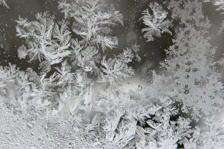 Winter snow flake photo