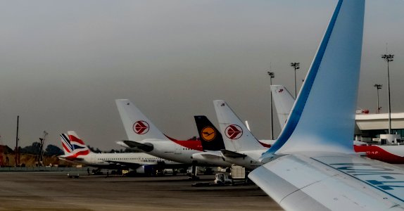 Tails and winglet (Algiers airport) photo