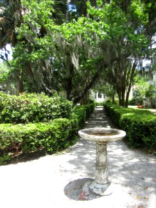 At the birdbath, look to the right . . .
