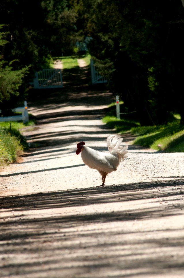 20110505-RD-LSC-0958