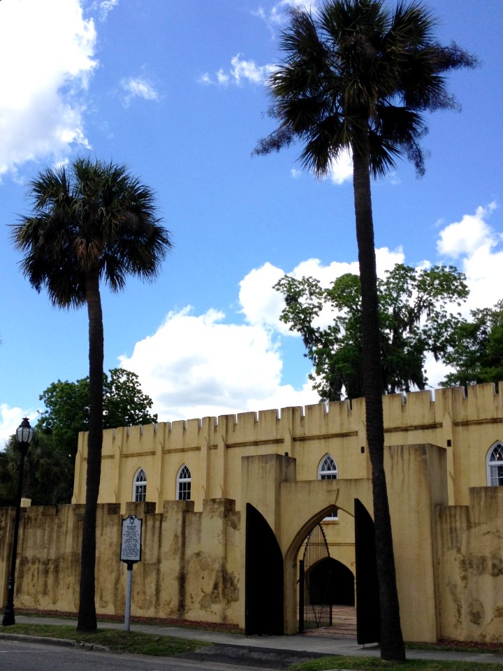 Pick up a Beaufort Tree Walk guidebook at the Beaufort Visitors Center at 713 Craven Street