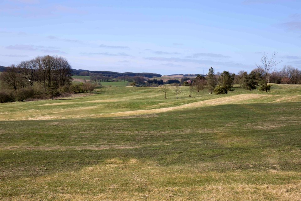 Eastwood Golf Club - IMG 2329