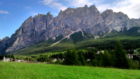 Nature forest italy