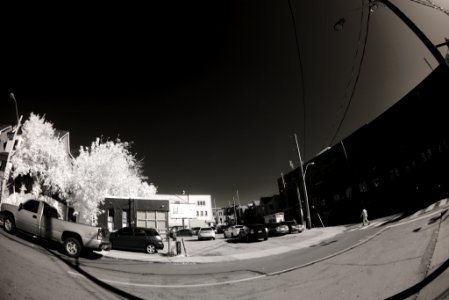 DSC 4044