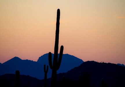 Desert hills landscape