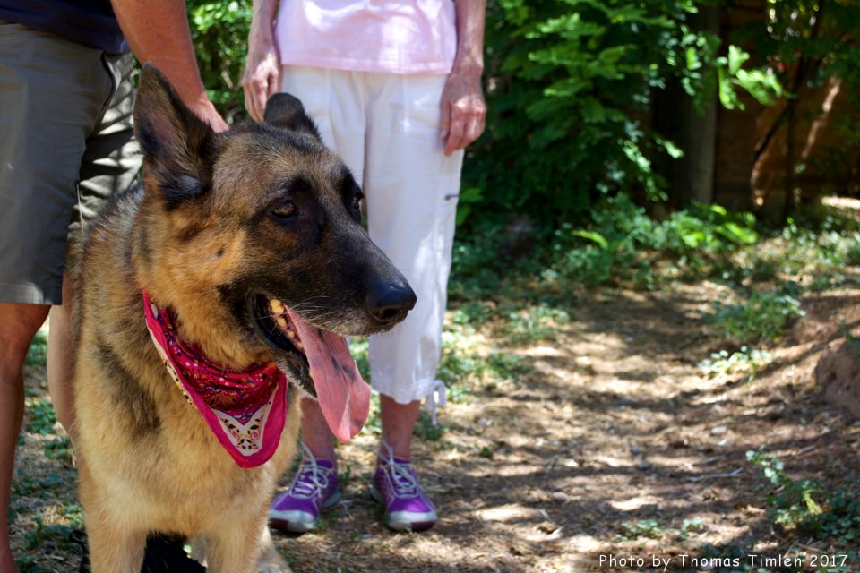 Kindred Spirits Animal Sanctuary