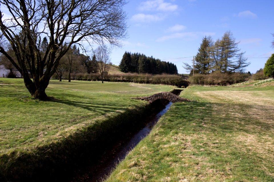 Eastwood Golf Club - IMG 2356