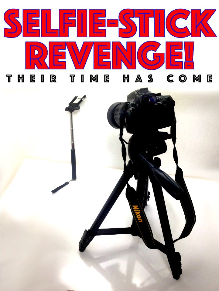 selfie stick revenge