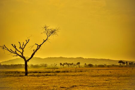 Nature landscape desert photo