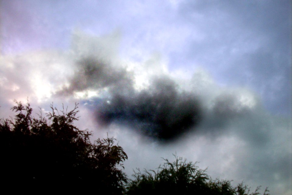 Donald Duck cloud photo