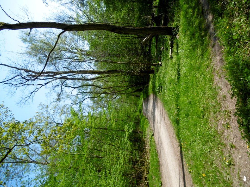 P1000035